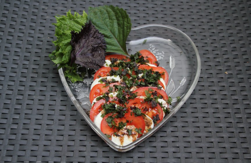 shiso (2) - Copie.JPG