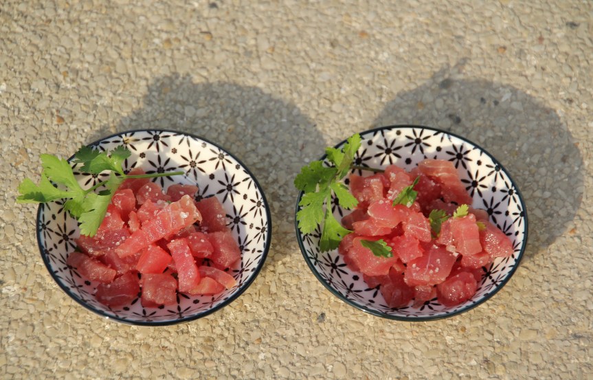 thon (1) - Copie.JPG