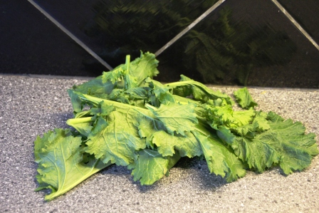 Delphine et steph 053