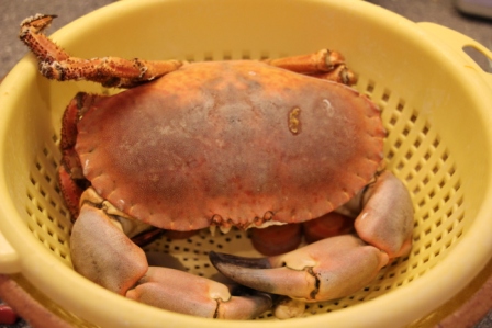 Prépa noël 097 - Copie