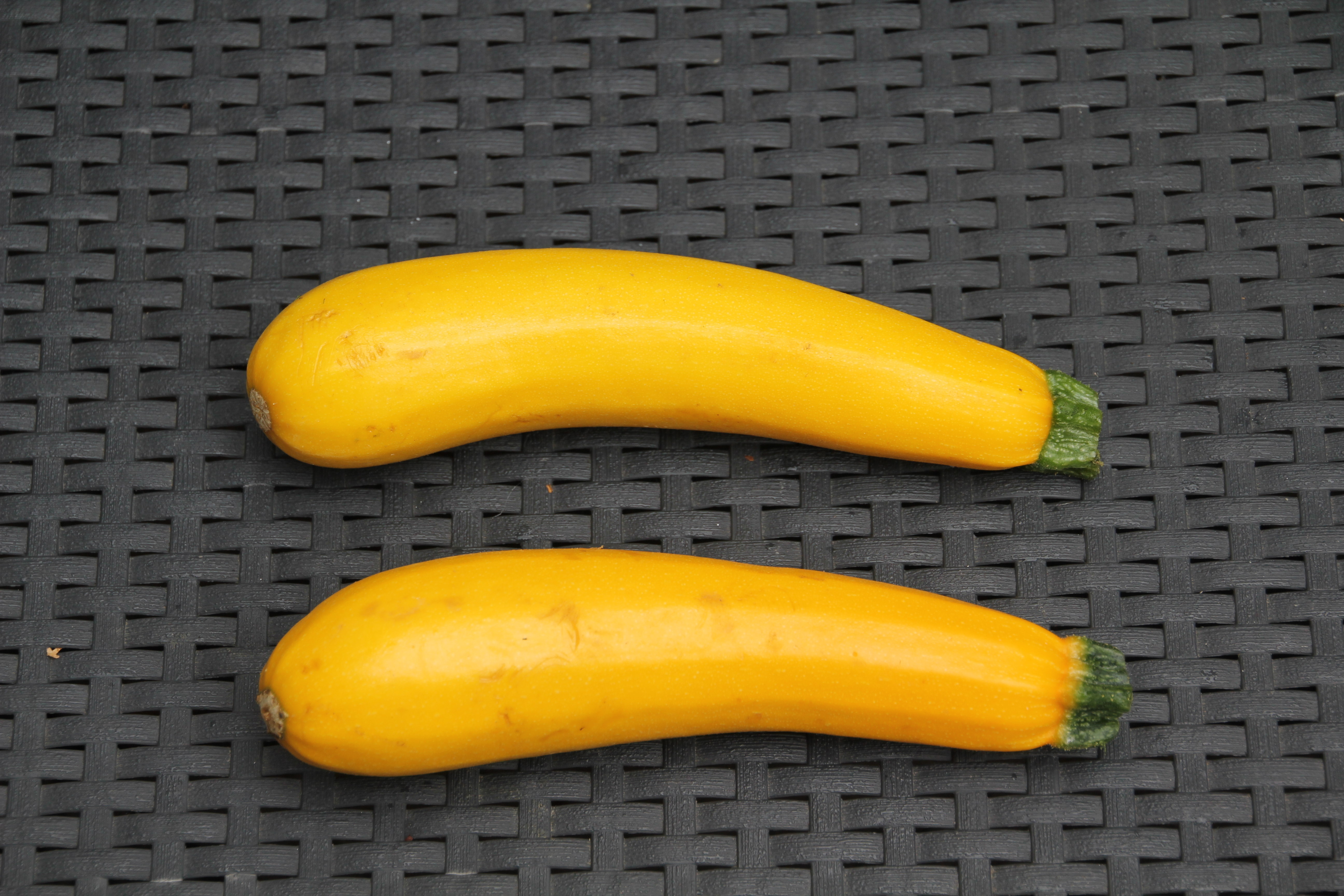 courgettes jaunes (1)